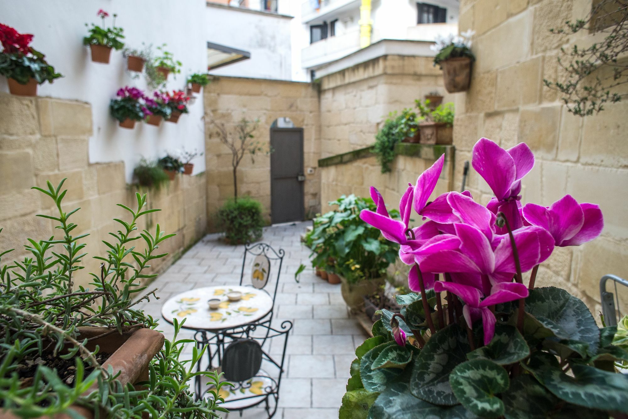 19Venti Bed & Breakfast Лече Екстериор снимка